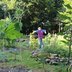 Vorschau: Das Gartenprojekt und seine neue Vogelscheuche. Foto: Sonja Deuling