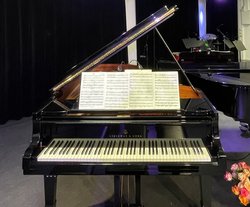 Hatte beim Einweihungskonzert am 9. November seinen großen Auftritt: der frisch restaurierte Steinway-Flügel der Musikschule. Foto: Stadt Oldenburg
