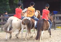 Ponys. Foto: Stadt Oldenburg Ponys. Foto: Stadt Oldenburg