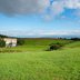 Vorschau: Wiese beim Utkiek. Foto: Mittwollen und Gradetchliev