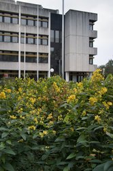 Gebäude des ehemaligen Finanzamtes. Foto: A. Janke