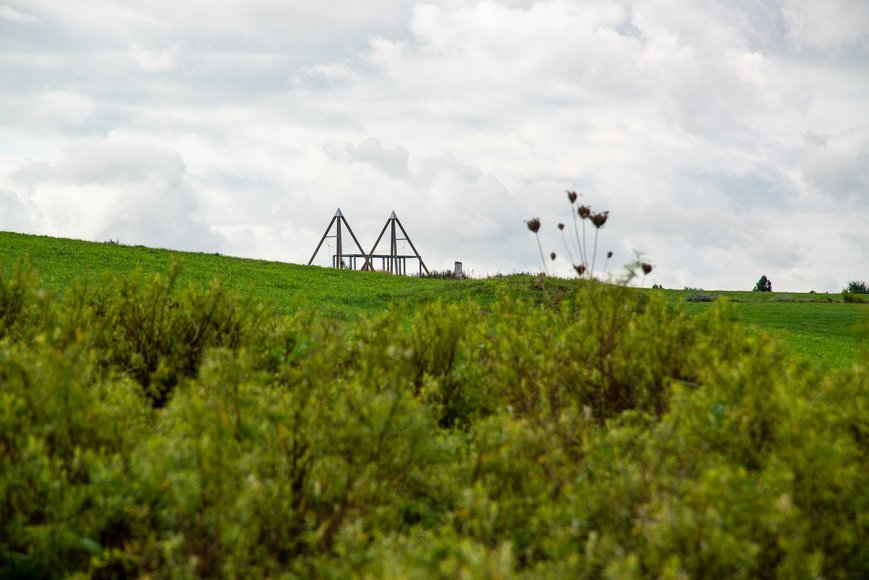 Wiese beim Utkiek. Foto: Mittwollen und Gradetchliev