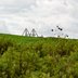 Vorschau: Wiese beim Utkiek. Foto: Mittwollen und Gradetchliev