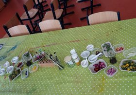 Ergebnis des Kreativprojekts. Foto: Stadt Oldenburg