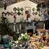 Vorschau: „Das Kaminzimmer“ von Robert Martin auf dem Lamberti-Markt 2025. Foto: Sascha Stüber