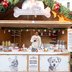 Vorschau: Die Hundekeks-Bäckerei auf dem Lamberti-Markt 2025. Foto: Sascha Stüber