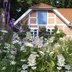 Vorschau: Sommerliche Atmosphäre im Oldenburger Schlossgarten. Foto: Hans-Jürgen Zietz