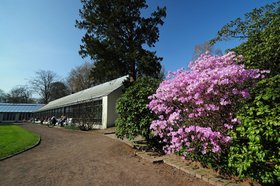 Frühling im Oldenburger Schlossgarten. Foto: Hans-Jürgen Zietz