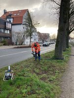 Lanze zur Belüftung der Wurzeln. Foto: Stadt Oldenburg