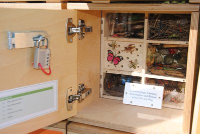 Holzbox mit Insektenhotel und Insekten aus Kunststoff. Foto: Stadt Oldenburg