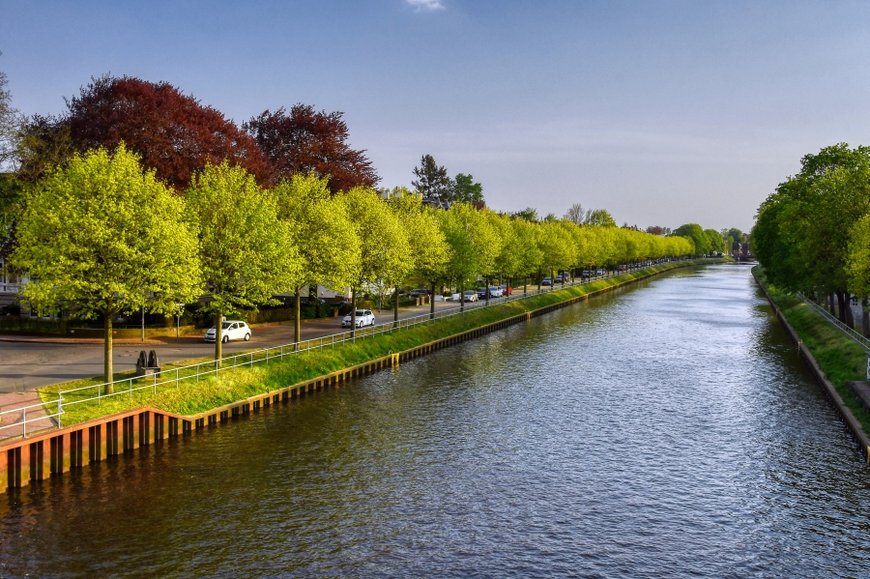 Frühlingsgrün am Wasser. Foto: Hans-Jürgen Zietz