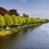 Vorschau: Frühlingsgrün am Wasser. Foto: Hans-Jürgen Zietz