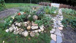 Der Garten im September 2024. Foto: Gudrun Stolte