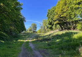 Blick auf das Gelände des ehemaligen Schießstandes. Foto: Stadt Oldenburg