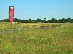 Naturschutzgebiet Alexanderheide. Foto: Stadt Oldenburg