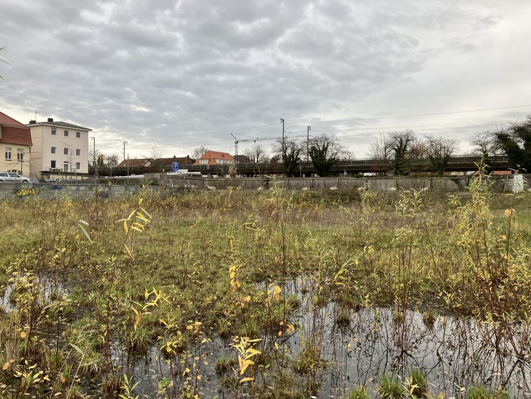 Das Grundstück nach dem Abriss des Finanzamtgebäudes. Foto: Stadt Oldenburg