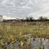 Vorschau: Das Grundstück nach dem Abriss des Finanzamtgebäudes. Foto: Stadt Oldenburg