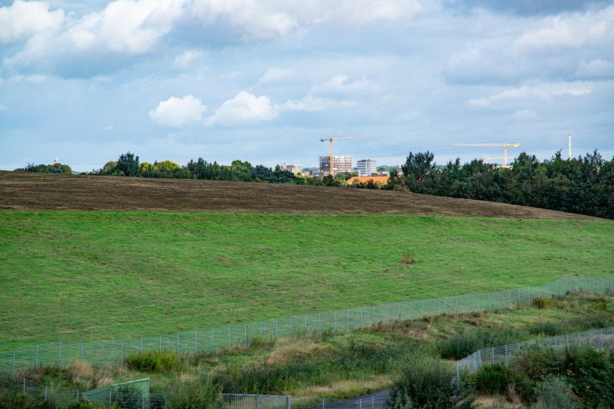 Wiese beim Utkiek. Foto: Mittwollen und Gradetchliev