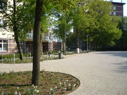 Bloherfelder Marktplatz. Foto Stadt Oldenburg