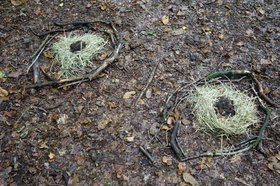 Augen im Wald aus Naturmaterialien. Foto: Stadt Oldenburg