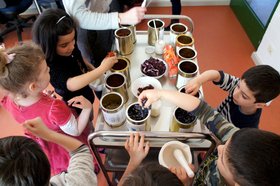 Kita-Kinder mit Färberpflanzen. Oldenburger Kunstschule e.V.