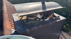 Eine junge Katze kauert auf dem Schornstein eines Einfamilienhauses. Foto: Feuerwehr Oldenburg