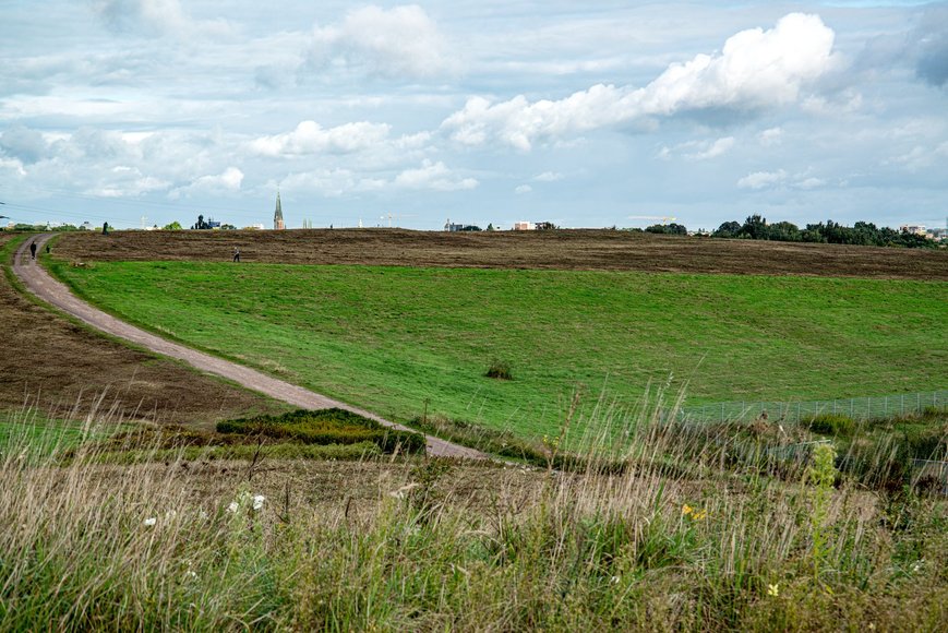 Wiese beim Utkiek. Foto: Mittwollen und Gradetchliev