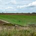 Vorschau: Wiese beim Utkiek. Foto: Mittwollen und Gradetchliev