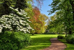 Frühlingsblüten im Oldenburger Schlossgarten. Foto: Hans-Jürgen Zietz