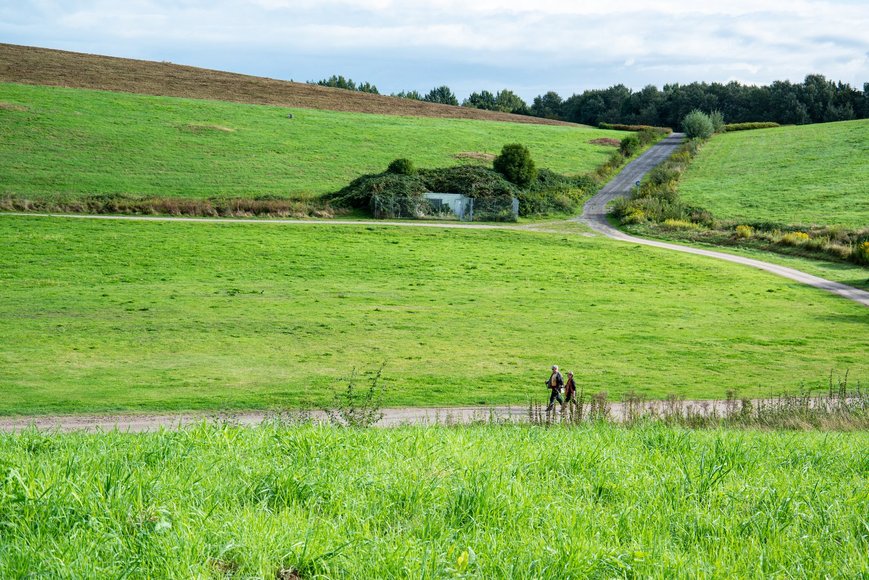 Wiese beim Utkiek. Foto: Mittwollen und Gradetchliev