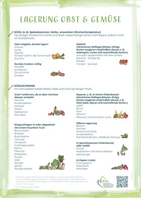 Lagerungstipps Seite 2. Copyright: ZEHN. Illustrationen: Maximilia Haase